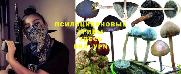 марки lsd Арсеньев