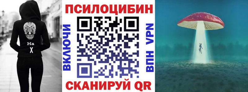 Галлюциногенные грибы Cubensis Ярцево